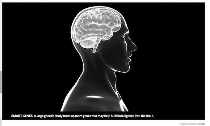 人間の知能を決める遺伝子が52個発見される! 遺伝的に「賢い
