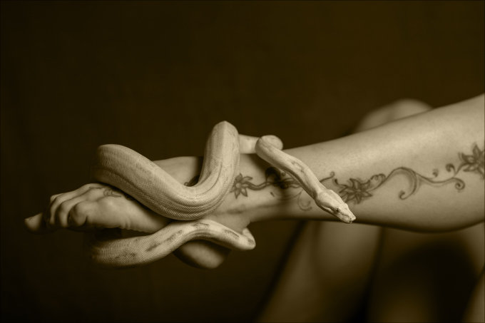 奇習！ 逞しく太いヘビを秘部に挿入し… 貞淑妻の孤独を満たす性技「マムシオナニー」＝東北地方の画像1