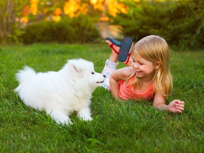 犬は生まれつき人間を母親と同じように信頼していることが判明! それなのに人間は… 数千年にわたる愛と友情に涙の画像2