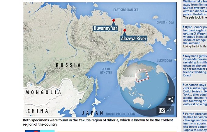 0727siberian-2.jpg