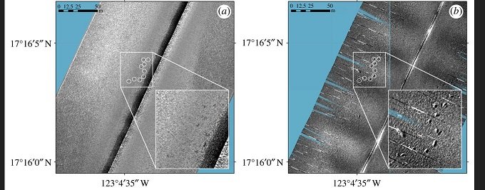 太平洋の海底4000mで謎の巨大足跡が多数発見される! 深海ミステリーに学者も困惑、未知の生物が潜伏か!?の画像2
