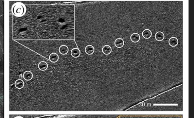 太平洋の海底4000mで謎の巨大足跡が多数発見される! 深海ミステリーに学者も困惑、未知の生物が潜伏か!?の画像3