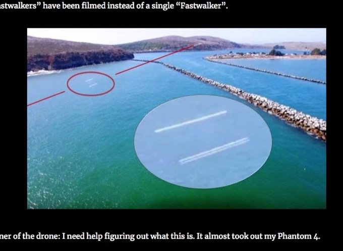 ドローン空撮映像に2体のファストウォーカーUFO出現! 「こんなの見たことない」 超高速飛行、鳥ではあり得ない謎物体に衝撃広がるの画像2