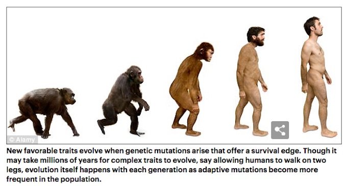 認知症や喫煙者の遺伝子が自然淘汰されていることが判明! 人類は今もバリバリ進化中、しかし絶滅を招く遺伝子変異も…!?の画像4