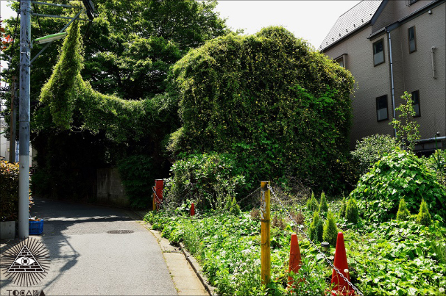 0908teruko_05.jpg