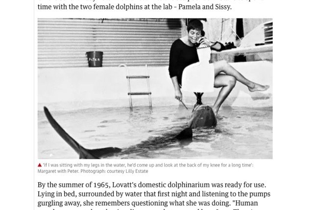 2ページ目 Nasa出資の実験中に イルカとのセックス に溺れた女研究者 こすりつけがエスカレートして Tocana