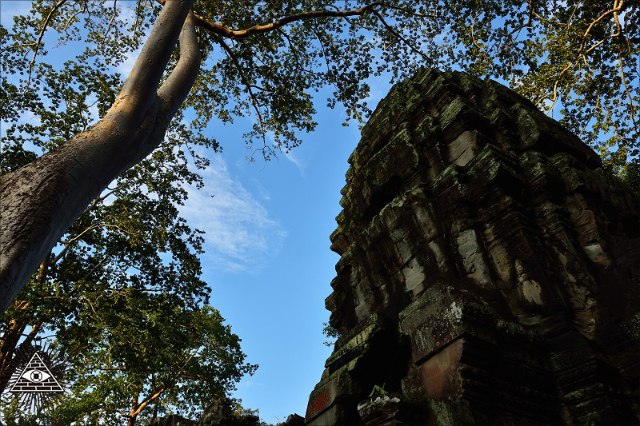 【オーパーツ世界探訪】12世紀に恐竜と暮らしていた「異次元の地」があった? 古寺院遺跡タ・プロームの謎!! の画像2