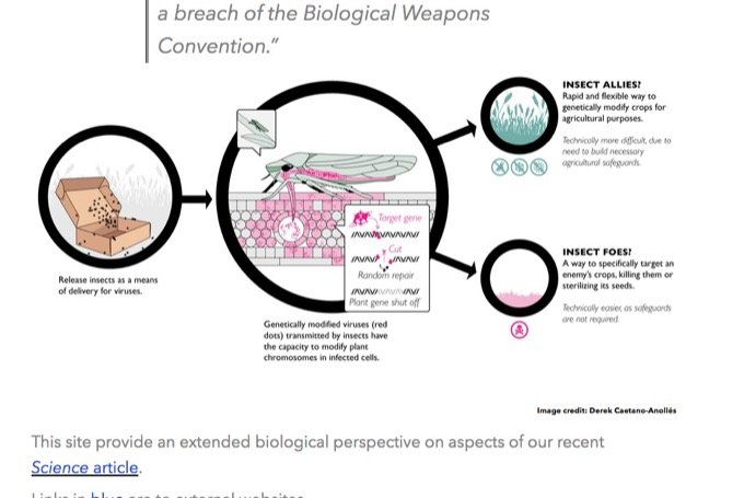 「ついに米軍が昆虫を生物兵器に使いそう」学者が告発! 運び屋の虫が病気をバラまき遺伝子強制変換… 影響は未知数!?の画像2