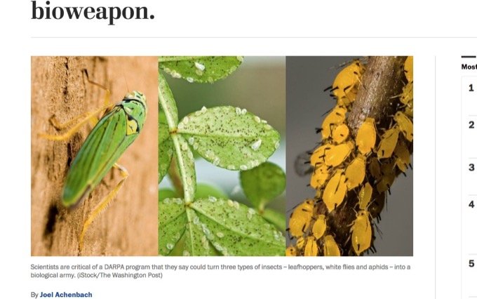 「ついに米軍が昆虫を生物兵器に使いそう」学者が告発！ 運び屋の虫が病気をバラまき遺伝子強制変換… 影響は未知数!?の画像4
