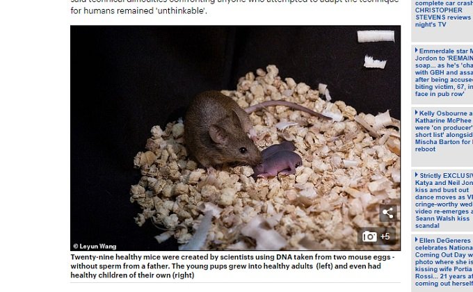 メス2匹だけで元気なマウスを作る実験に成功! オス2匹でも生まれたがすぐに死んだの画像3