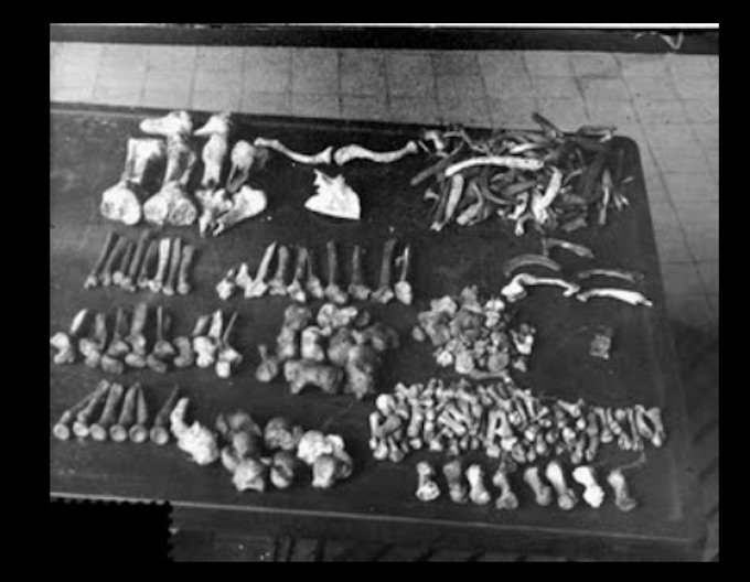 【閲覧注意】30人以上を調理して売った人肉加工販売シリアルキラー「パパ・デンケ」! 尻肉のクリーム煮込み、胴体の塩漬け… ヤバすぎるレシピの数々の画像7