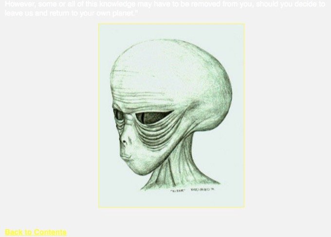 宇宙人に拉致されて「地球外文明で10日間を過ごした」男が激白! 消された全記憶が復活の画像2