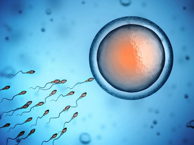肩に塗るだけで精子が死滅する「塗るコンドーム」遂に爆誕! 米政府機関が臨床試験、避妊の新時代到来!の画像1