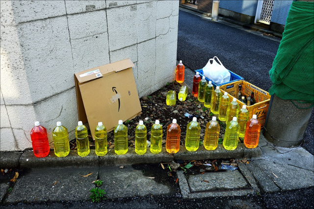 1211nekoyoke_main.jpg