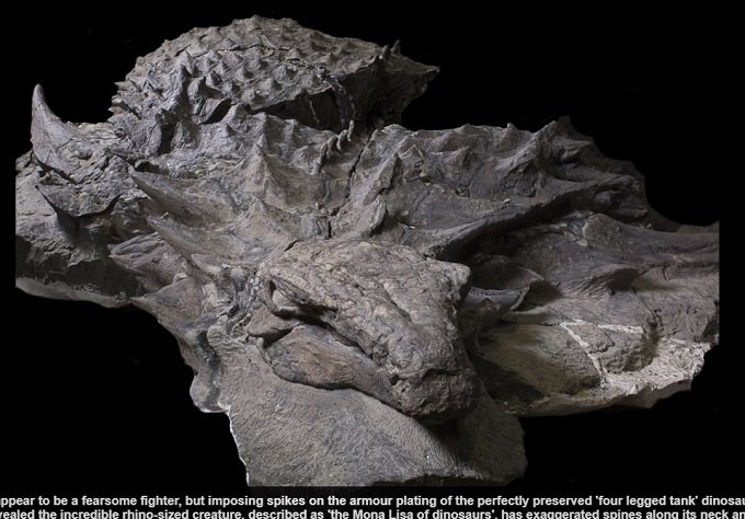 完璧な恐竜のミイラ(化石ではない)がインドで発見される! 6500万年前の姿そのままのレベル!の画像2
