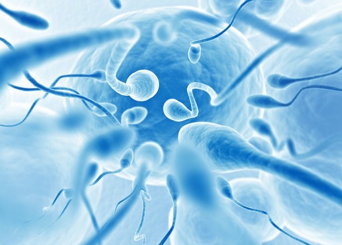 肩に塗るだけで精子が死滅する「塗るコンドーム」実現へ! 男性向け避妊具研究の最前線の画像2