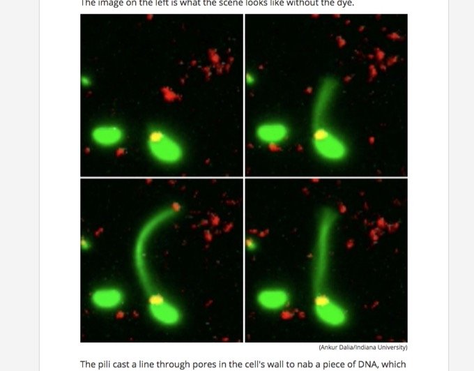 2018年に解明した科学的な新事実10がヤバい! 人間とヒツジのハイブリッド、空からウイルス、地底生物…!の画像1