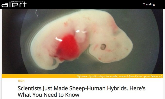 ヒトと動物を組み合わせた実在するハイブリッド5選! ニワトリ人間、人工肛門マウス、人乳ヤギ…!の画像4