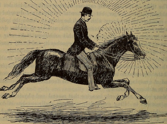 14577599290_f88d4dd1ce_z.jpg