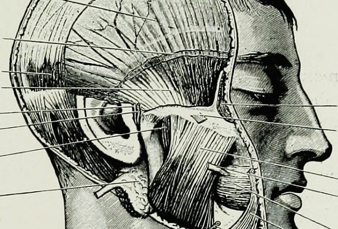 14595625700_5fa817fb7b_b.jpg