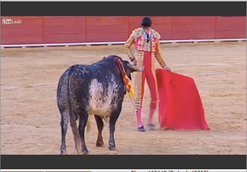 1607_bullfighter_1.jpg
