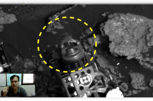 火星探査機にしがみつく生きたトカゲが激写される? 研究者「100%地球外生命体」の画像2
