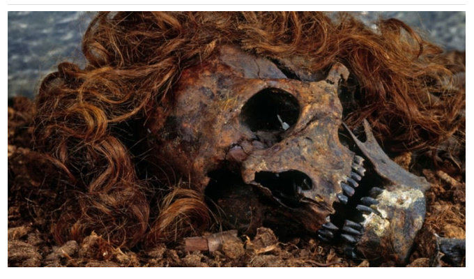 泥炭地で発見された「生きているようなミイラ」5選! 4000年前の人間が苦悶の表情で今そこにいる不思議の画像8