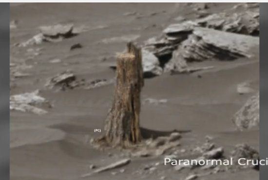 火星で1本の朽木が発見される? NASAの公式画像で判明、かつて緑に覆われていた決定的証拠か?の画像3