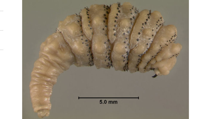 1707_insideofpeaple_1.jpg