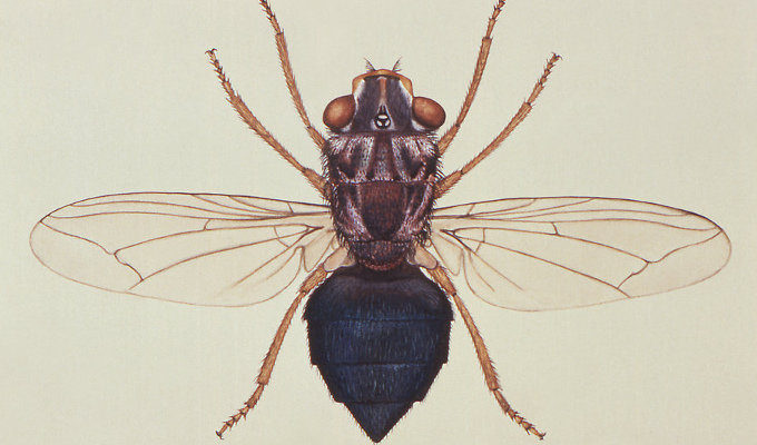 1707_insideofpeaple_2.jpg