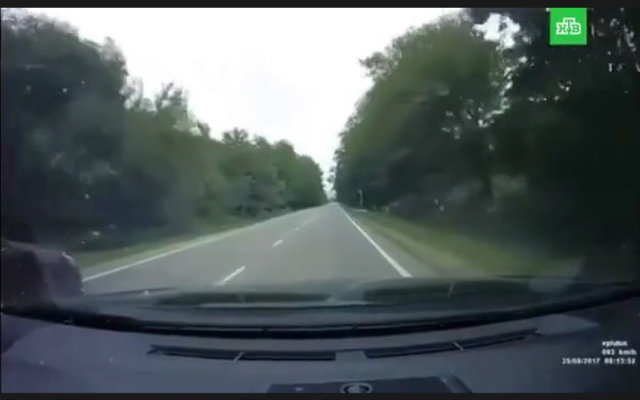 170901_assasinateonroad_1.jpg