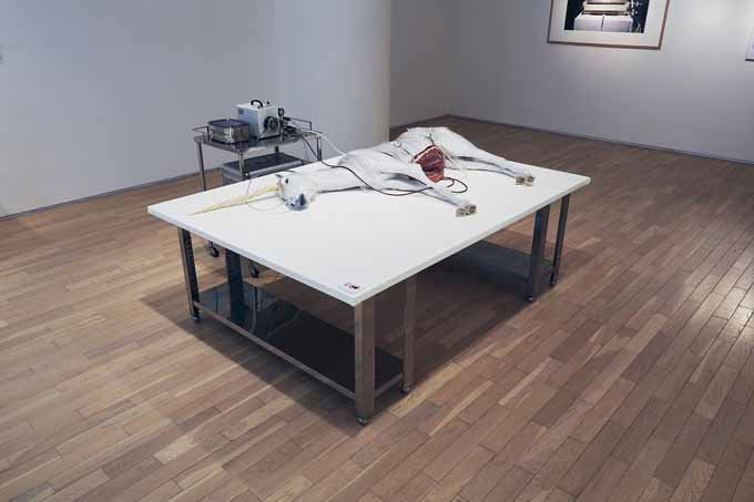 ゴッホの耳、人間の皮膚ジャケット、蘇生ユニコーン…「2018年のフランケンシュタイン展」のバイオアートが攻めまくり!の画像5