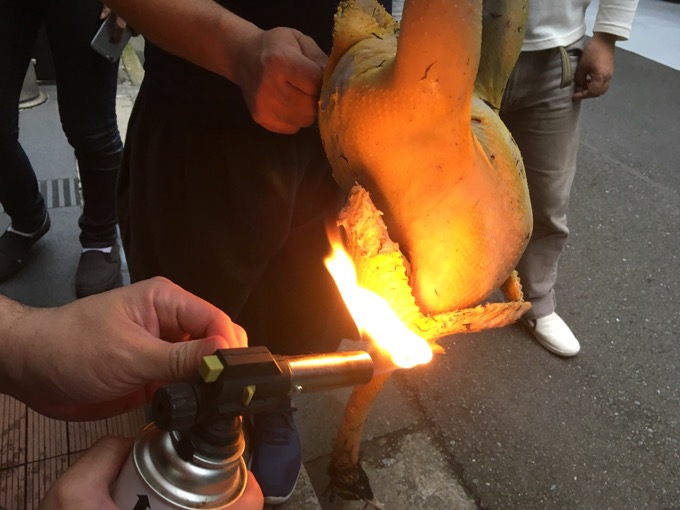 【実録】クジャクを解体して食べてわかった「3つの衝撃」とは!?  全画像公開…ヤバ過ぎる砂肝と異臭も発覚！の画像5