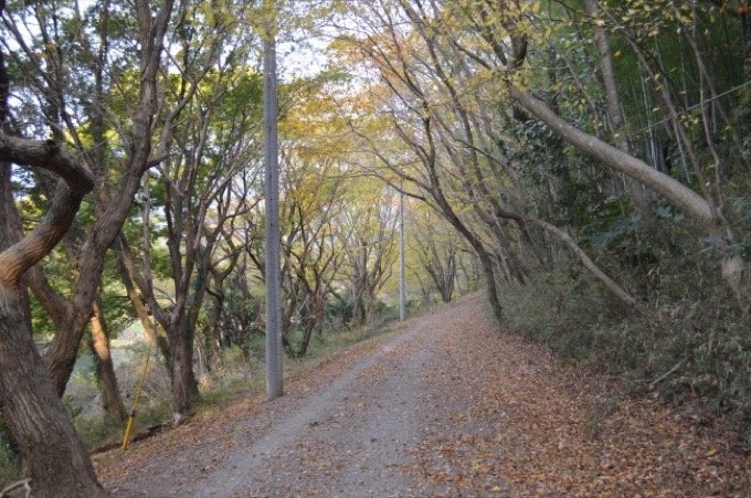 C県の未解決事件の舞台「弁天橋」に行ってみた! 新宿ディスコのアキレス腱切断死亡事件に幽霊は…(心霊スポット)の画像3