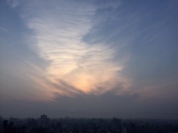 201604011139_2.jpg