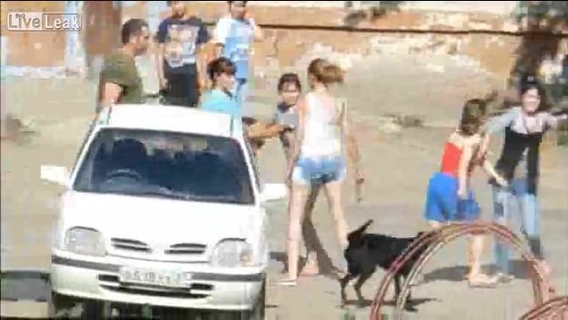 閲覧注意 怒れる10代少女5人の生死を賭けた 女同士の喧嘩 2選 ー キャットファイトの大惨事を少年たちは傍観するだけ