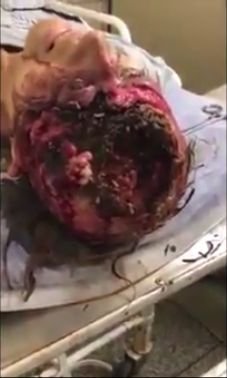 20180112_maggot_02.jpg