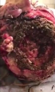 20180112_maggot_03.jpg