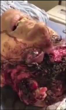 20180112_maggot_04.jpg