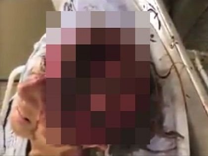 20180112_maggot_thumb.jpg
