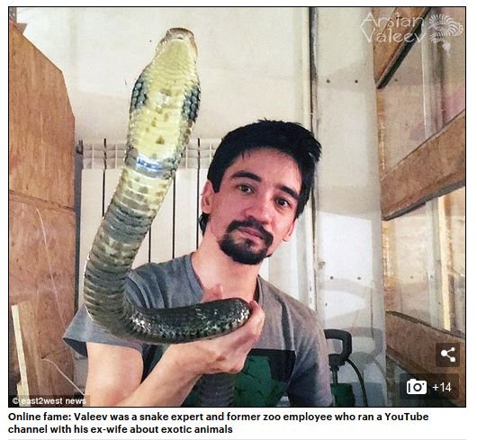 20180122_snake_04.jpg