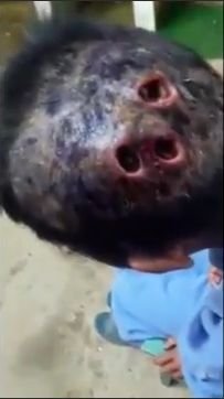 20180212_head_02.jpg