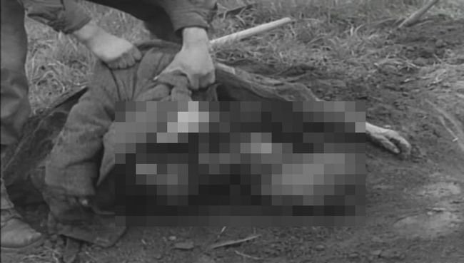 【閲覧注意】米兵がナチスの強制収容所から死体を次々と掘り起こす！ 非人道的な強制労働の真実を物語る歴史映像の画像1