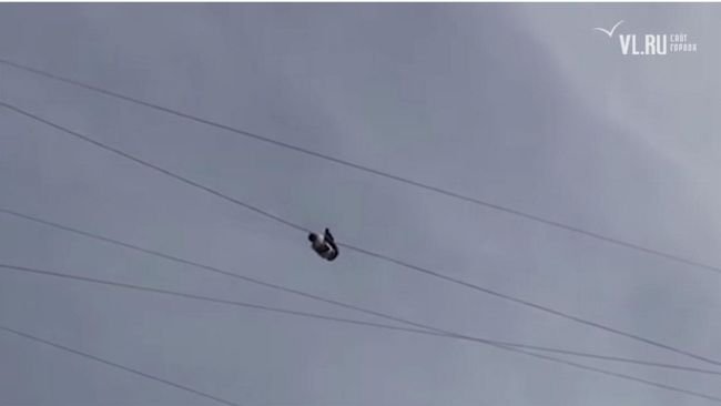 【閲覧注意】電線を綱渡りしていた男が力尽きて落下する瞬間が憐れすぎる! 歪んだ自己顕示欲が招いた悪夢=ロシアの画像1