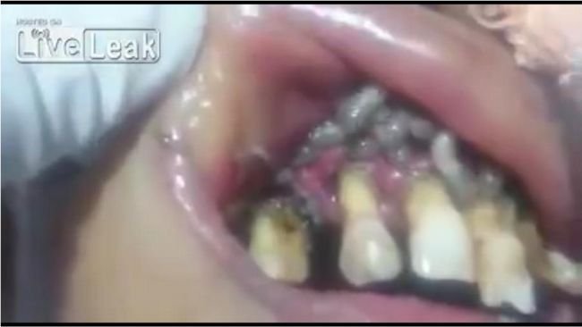 20181007_maggot_04.jpg