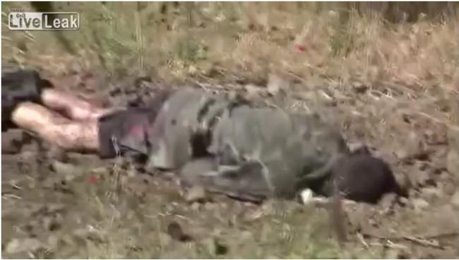 【閲覧注意】ヌスラ戦線の「潜入レポート映像」がマジでやばい! 戦場ジャーナリストが見た堕獄の現実!の画像5