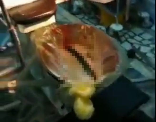20181128_anus_01.jpg
