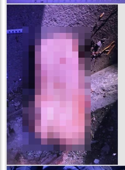 【超閲覧注意】女を惨殺、バラバラにして喰いまくる「食人コンビ」登場! 骨付き腿肉、肝臓とイモ煮込み… ロシアで人肉事件頻発中!の画像4