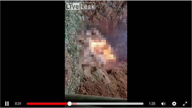 【閲覧注意】中国のブタ殺処分で「死にきれない大量のブタ」映像が流出! 焼かれながら鳴き叫び… 残虐すぎる!の画像1