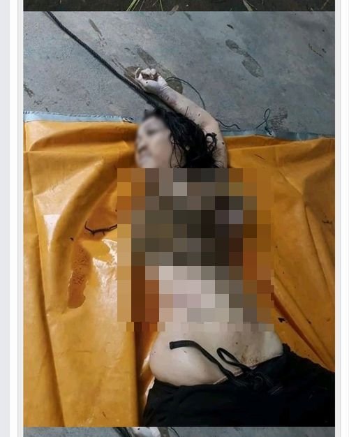 【超・閲覧注意】ワニに生きたまま食べられた女性科学者の遺体が悲惨! 2.4m飛び上がってガブリ… 殺人ワニ所有者は日本人か!?の画像1